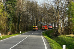 30.03.2024 – Zásah č. 2; Spadlý strom na Kamenným